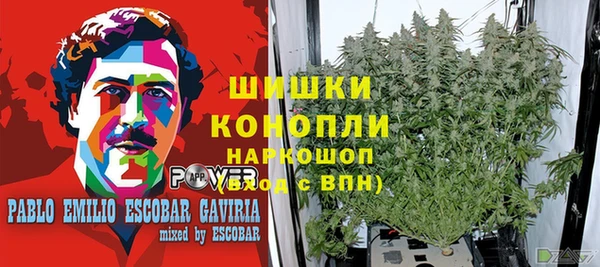 ешки Алексин