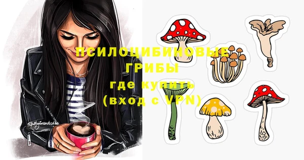 ECSTASY Алзамай